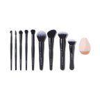 Ten Out of Ten Brush Kit