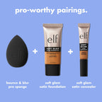 Bounce & Blur Pro Sponge